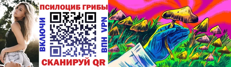 Галлюциногенные грибы Psilocybe  площадка какой сайт  Харовск  купить закладку 